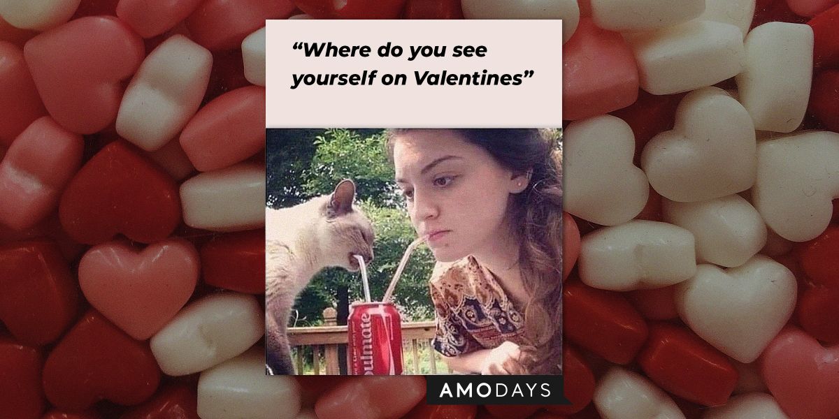 Valentine's Day Memes: The Funniest and Saddest Memes to Use on This Day