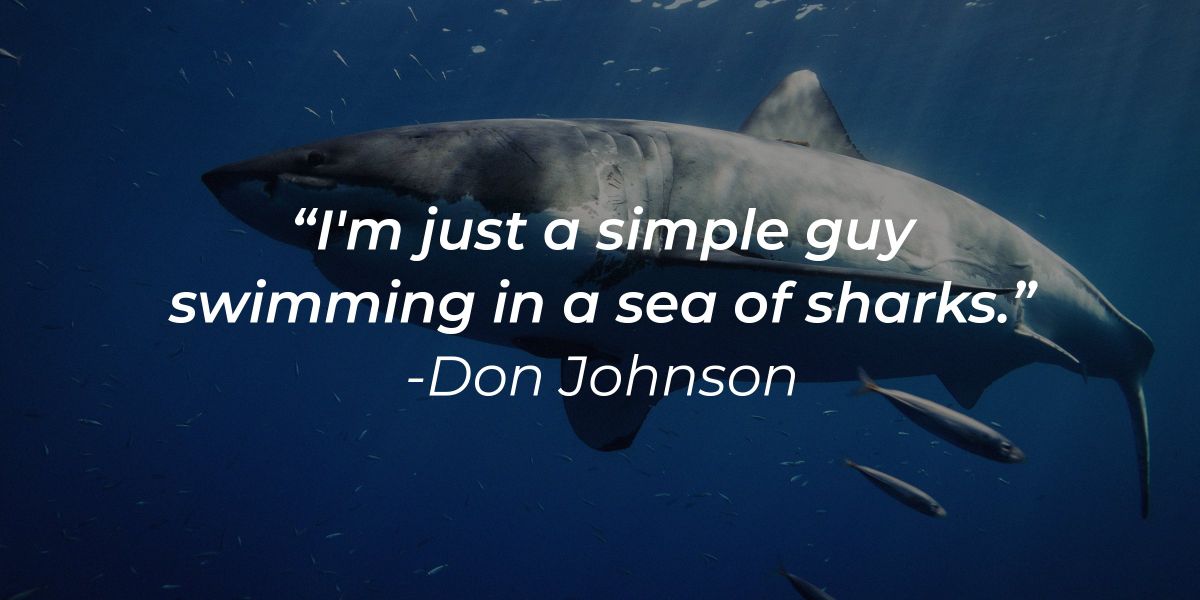 51 Shark Quotes To Keep You On Your AGame